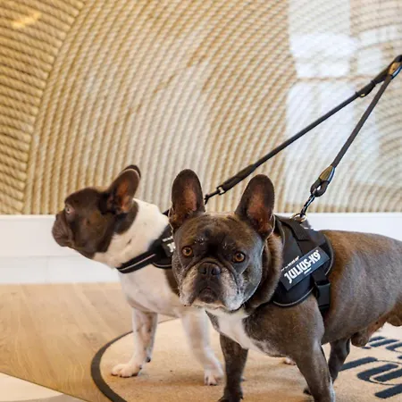 Hotel Hiru Uhinak Deba