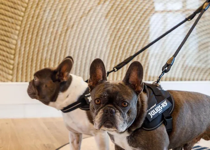 酒店 Hiru Uhinak 德巴